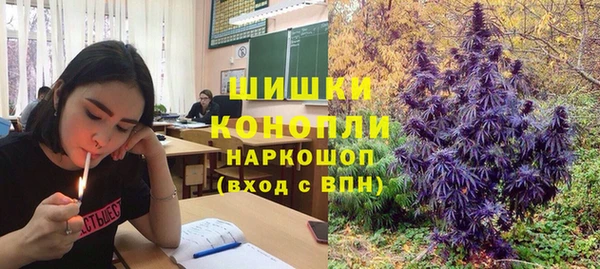 индика Аркадак