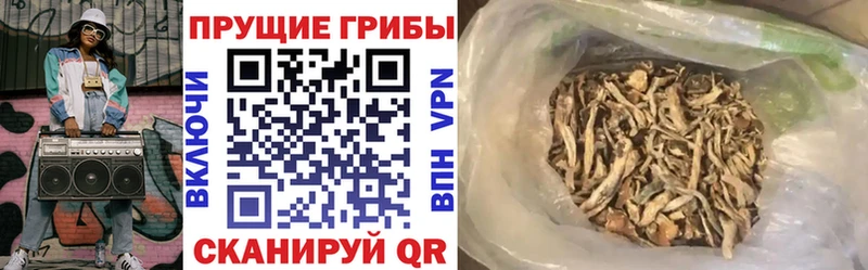 купить наркотики сайты  Омутнинск  KRAKEN как войти  дарк нет телеграм  Псилоцибиновые грибы GOLDEN TEACHER 